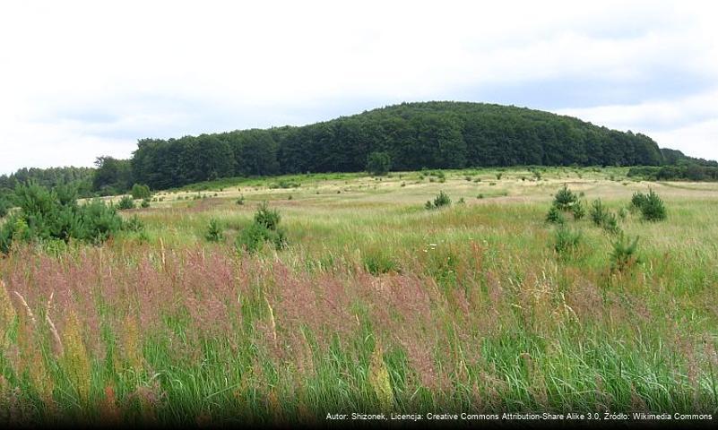 Bukowa Góra (Dąbrowa Górnicza)