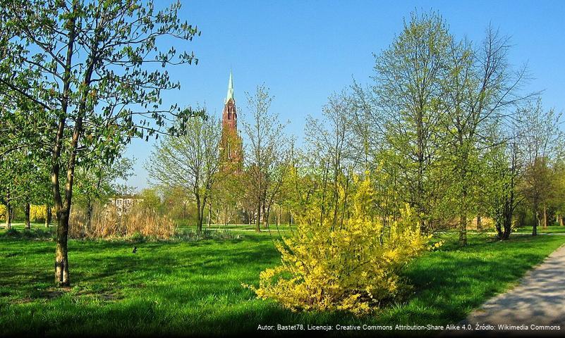 Park Hallera w Dąbrowie Górniczej