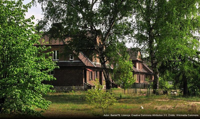 Pogoria (Dąbrowa Górnicza)