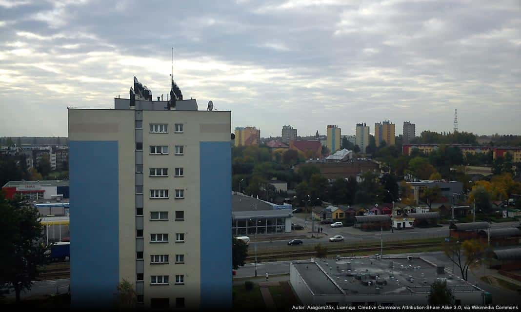 Wykaz nieruchomości gruntowych przeznaczonych do najmu w Dąbrowie Górniczej