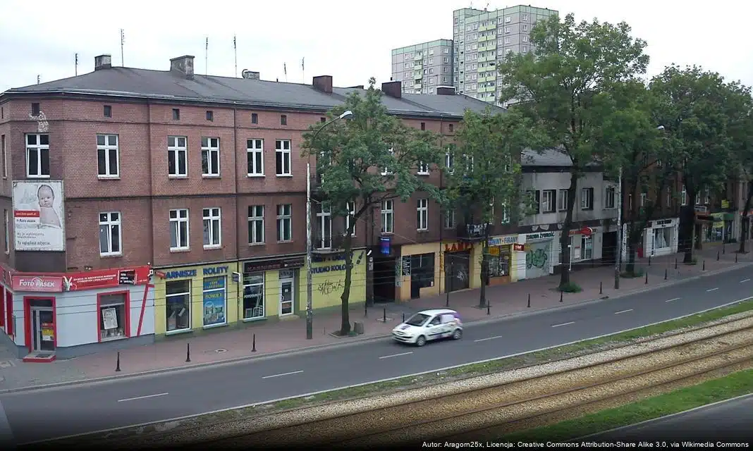 Bieg i marsz dla potrzebujących w Dąbrowie Górniczej