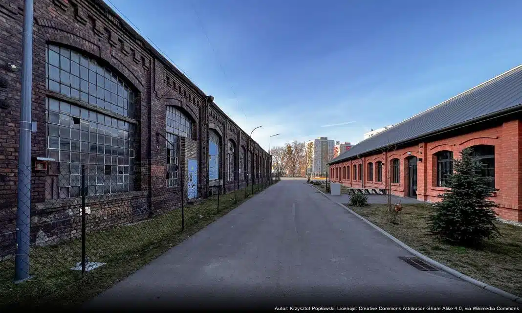 Nowy program współpracy z NGO w Dąbrowie Górniczej na 2026 rok